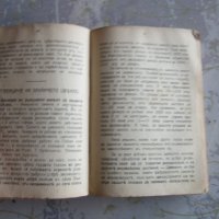 Стара книга Земеделско скотовъден календар 1915 , снимка 5 - Специализирана литература - 37992559