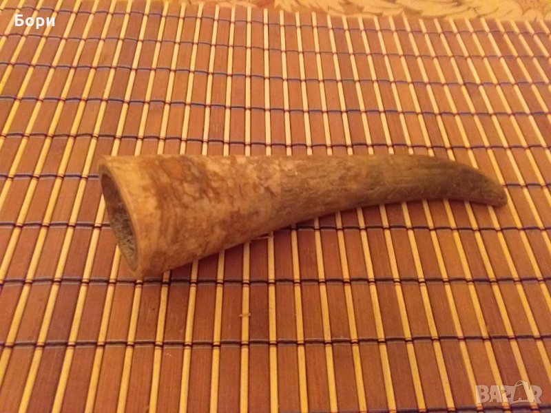 Рог от бик, снимка 1