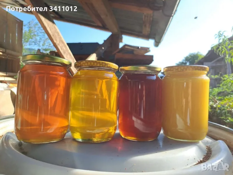 Пчелен мед , снимка 1