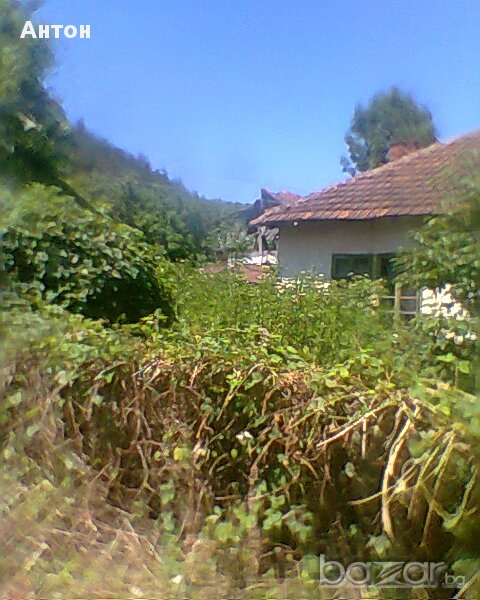 House for Sale in Stakevtsi, Vidin