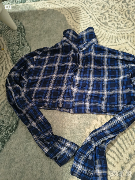 Риза къса , снимка 1