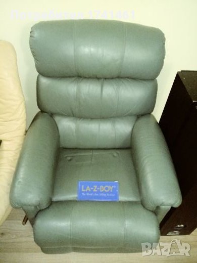 Мързелив фютьоил, снимка 1