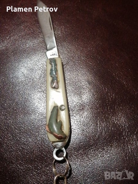 Американска ножка , снимка 1