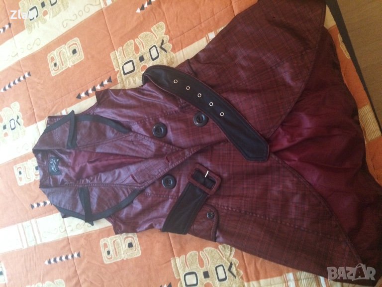 Елек тип лале, снимка 1