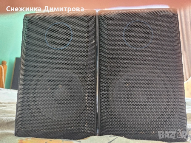 Тонколони Blaupunkt CB 4500 100 вата, снимка 3 - Тонколони - 51550720