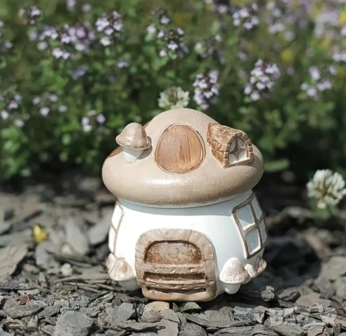 Молд бурканче къща гъба