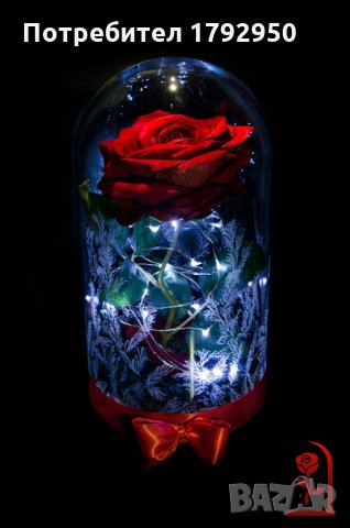 Вечна роза в голяма стъкленица - Уникален и стилен подарък, снимка 3