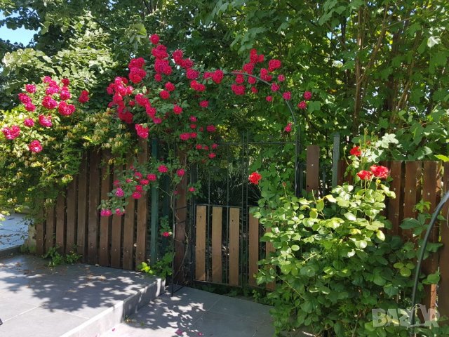 Апартаменти за семейства в Ахелой от 02.08.25до 08.08. 25год. 7 дни, снимка 9 - Почивки на море - 29434880