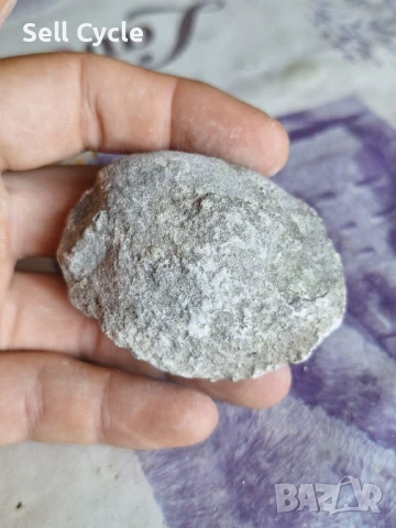 ✅ФОСИЛ - МИДА❗