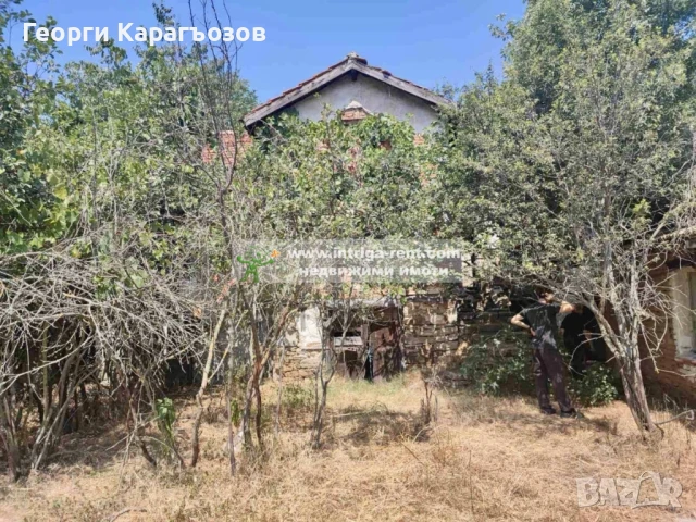 №3983 Селски имот за продажба в село Динево, област Хасково., снимка 3 - Парцели - 50986582