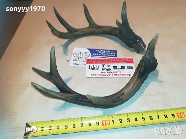 рога комплект 2бр 2005212045, снимка 3 - Антикварни и старинни предмети - 32947574