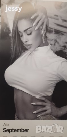 Календари Пайнер 2023 година, снимка 4 - Колекции - 39100241