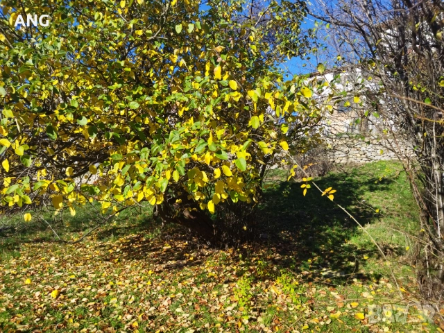 Продава парцел с проект за къща в гр.Смолян, снимка 10 - Парцели - 52646739