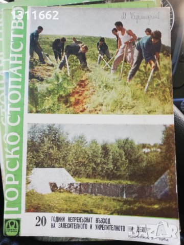 Горско стопанство - списание 1964 година, снимка 6 - Специализирана литература - 43550569