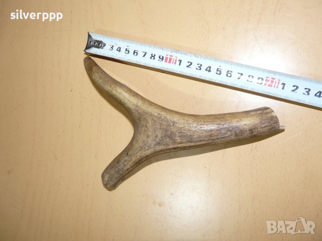  Парче еленов рог - 1, снимка 4 - Други ценни предмети - 39619793