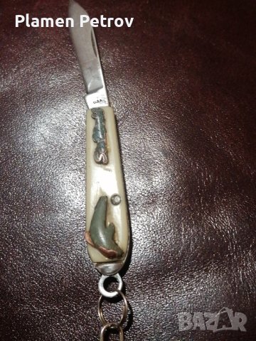 Американска ножка , снимка 1