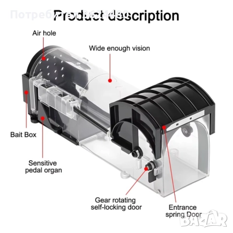  Капан за Гризачи Прозрачен Дизайн, снимка 4 - Други стоки за дома - 52429206