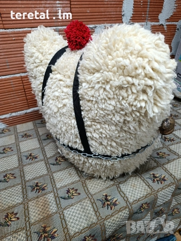 Глави на мечки . Голями, снимка 11 - Други стоки за животни - 52850788