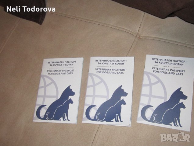 Пухкави сладури си търсят дом, снимка 5 - Персийска - 27301583