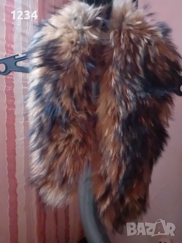 Голяма естествена яка от ракун 