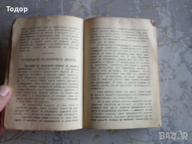 Стара книга Земеделско скотовъден календар 1915 , снимка 5 - Специализирана литература - 37992559