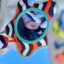Бебешка сензорна въртележка с морски животни за кошарка или количка, снимка 3