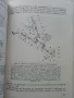 Регулировки в автомобилите Жигули,Москвич и Запорожец - Д.Димитров,Х.Карастоянов - 1978г., снимка 3