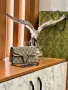 Gucci дамски чанти Различни цветове , снимка 8