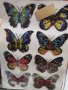 5D 8 бр пеперуди pvc стикер стикери за стена и мебели украса декор, снимка 5