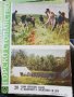 Горско стопанство - списание 1964 година, снимка 6