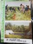 Горско стопанство - списание 1964 година, снимка 6