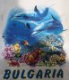 Нова бебешка тениска с трансферен печат Делфини, Морска, Морско дъно, снимка 3