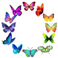 50 бр Пеперуди самозалепващи лепенки стикери за украса декор картонена торта и др, снимка 4 - Други - 33376239