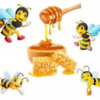 Предлагам натурален полифлорен пчелен мед прополис и восък произведени в екологично чист район на с., снимка 2 - Пчелни продукти - 38156572