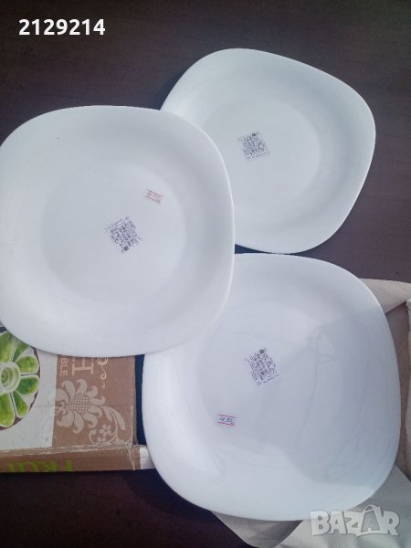 1. Чинии, снимка 1