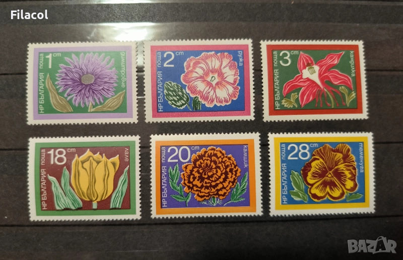 България 1974 г. Градински цветя, снимка 1