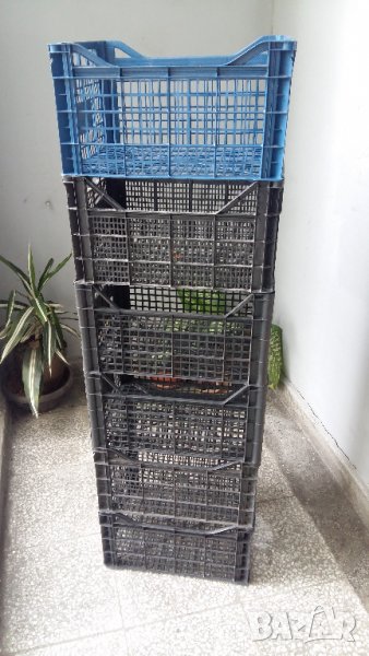 ЩАЙГИ-КАСЕТКИ ЗА ДОМАТИ ИЛИ ГРОЗДЕ, снимка 1