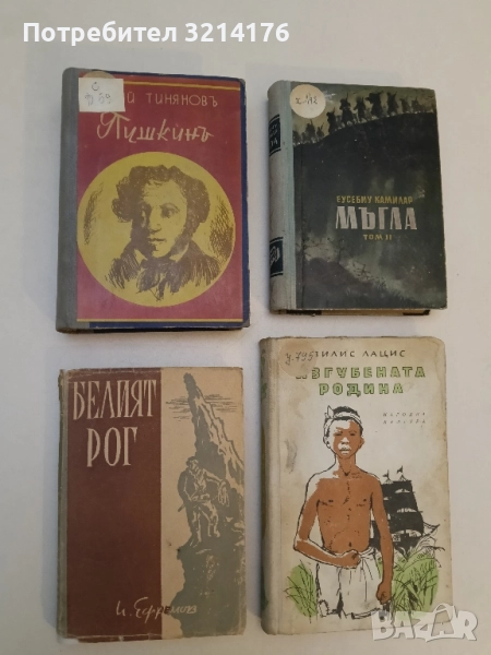 Пушкинъ - Юрий Тинянов, снимка 1