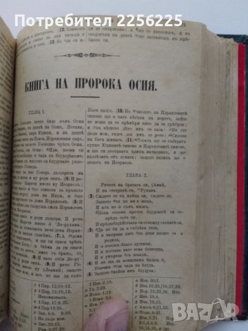 Цариградска библия , снимка 7 - Езотерика - 43477513