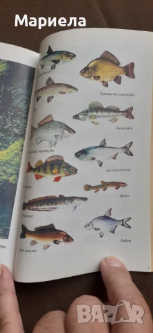 Законите на успеха, снимка 4 - Специализирана литература - 51215766