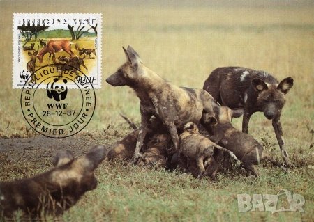 Гвинея 1987 - 4 броя Карти Максимум - WWF, снимка 3 - Филателия - 38843712