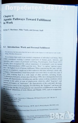 Психологически, образователни и социологически перспективи за успеха и доброто кариерно развитие, снимка 5 - Специализирана литература - 39245499