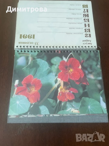 Календар настолен с цветя от 1991 г., настолен /стенен/ календар Roma 2015 г. със снимки от Ри, снимка 7 - Други ценни предмети - 50506222