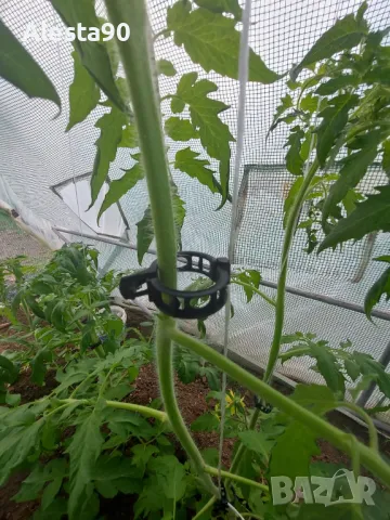 Щипки за домати и краставици 23 см., снимка 4 - Градински инструменти - 49802007
