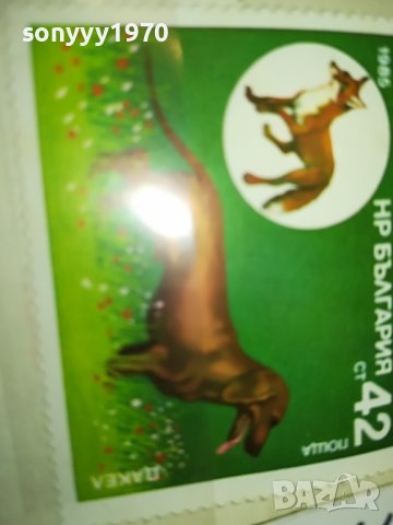 МАРКА 5 НРБ 1985 ДАКЕЛ 1203231626, снимка 5 - Филателия - 39972980