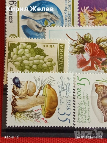 Стари пощенски марки от цял свят смесени ГЪБИ, ЦВЕТЯ, ЖИВОТНИ за КОЛЕКЦИЯ 51979, снимка 7 - Филателия - 53230819