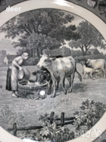 Порцеланова чиния BOSCH , снимка 3 - Чинии - 42951648