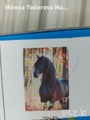 Диамантен гоблен. Комплект за изработване, снимка 15 - Гоблени - 36902422