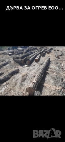 предлагам дърва за огрев метровки акация салкъм дървата са едри едри доставям до адрес 95лв 08959774, снимка 3 - Дърва за огрев - 51712622