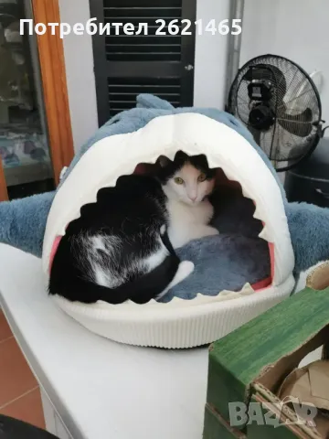 Котещка хралупа - къща с формата на акула, легло за котки, котка, куче, снимка 10 - За котки - 47665811